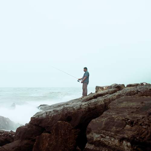 Photo #9503544