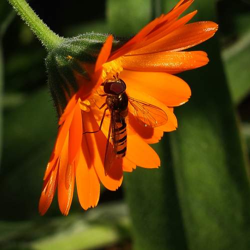 Photo #9503920