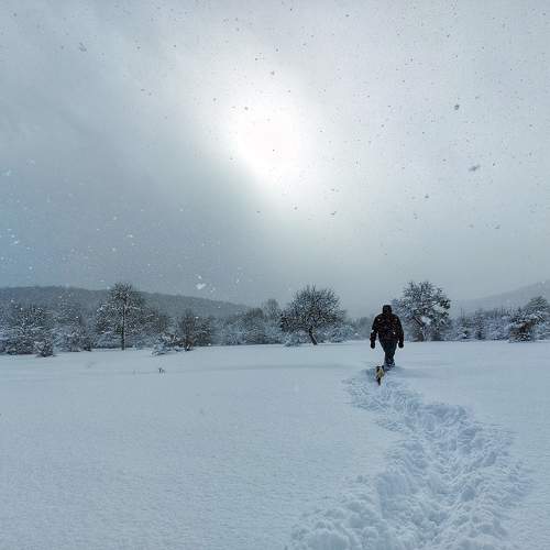 Photo #9504038