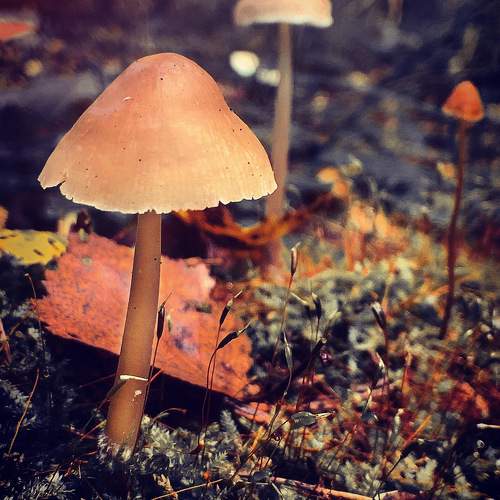 Photo #9504075