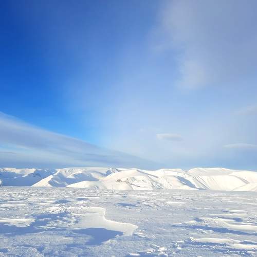 Photo #9504098