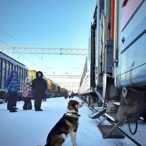 Photo #9504245