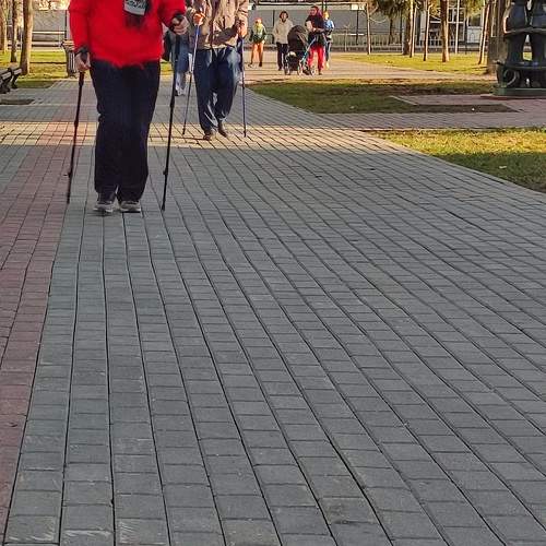Photo #9504497