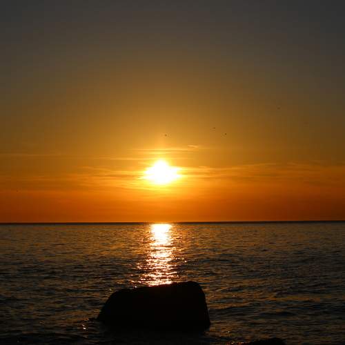 Photo #9504502