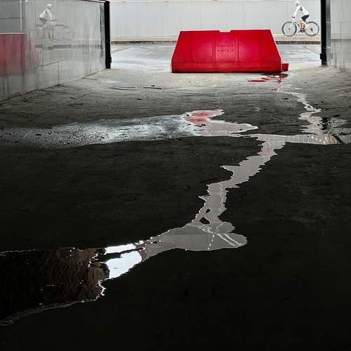 Photo #9504506