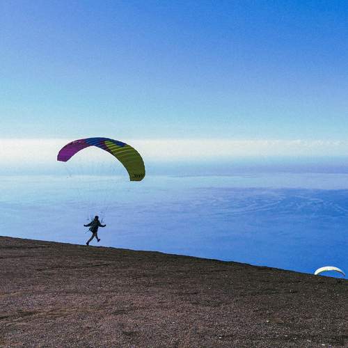 Photo #9504565