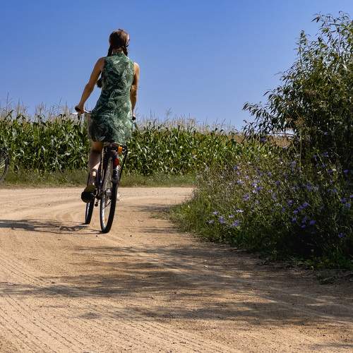 Photo #9504586
