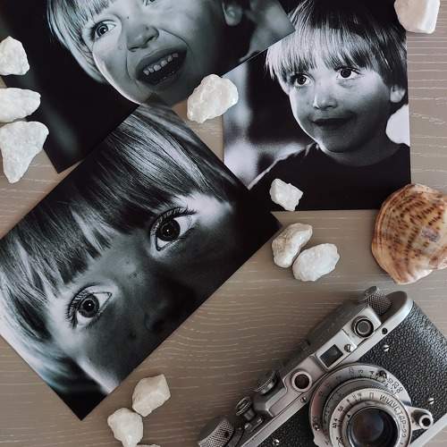 Photo #9504652