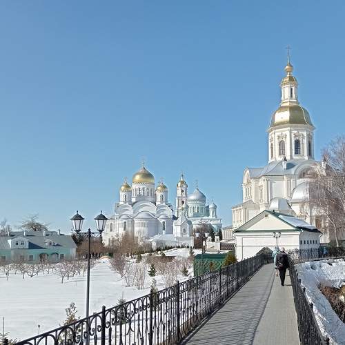 Photo #9504718