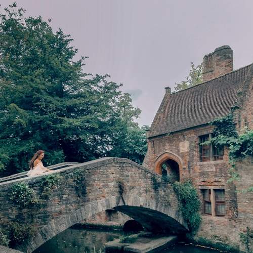 Photo #9504952