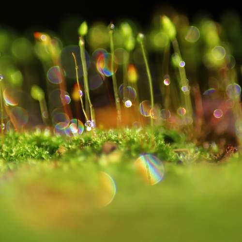Photo #9504982