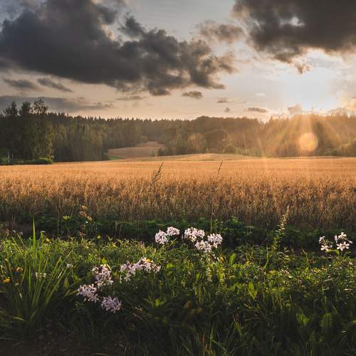 Photo #9505414