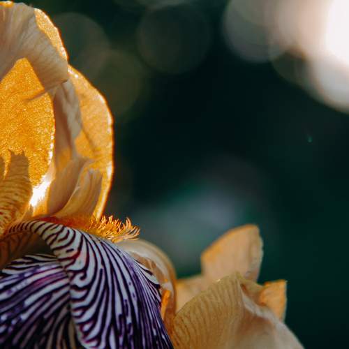 Photo #9505567