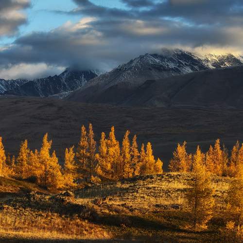 Photo #9505781