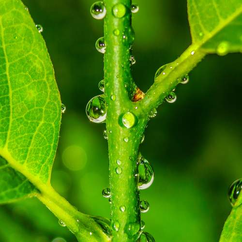 Photo #9505952