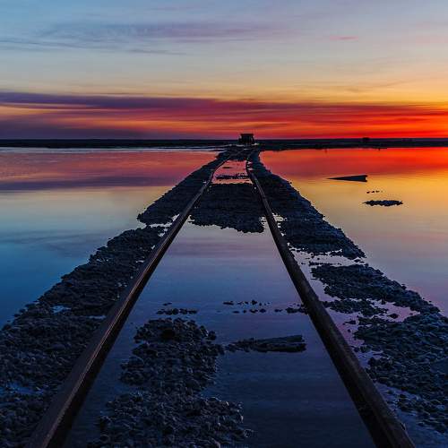 Photo #9506014