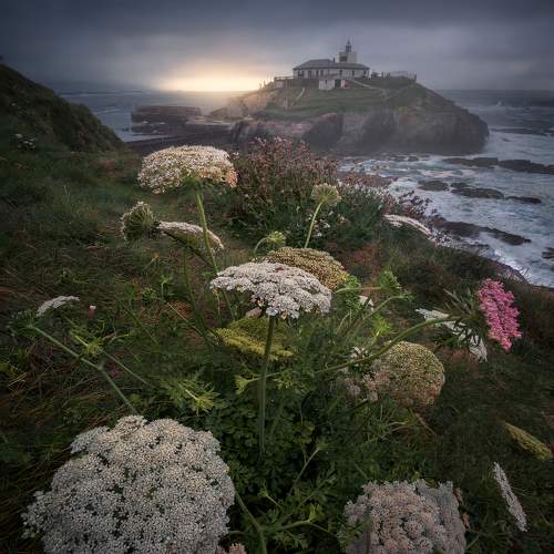 Photo #9506024