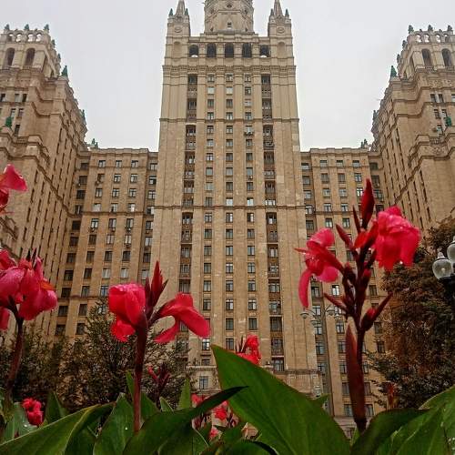 Photo #9506078