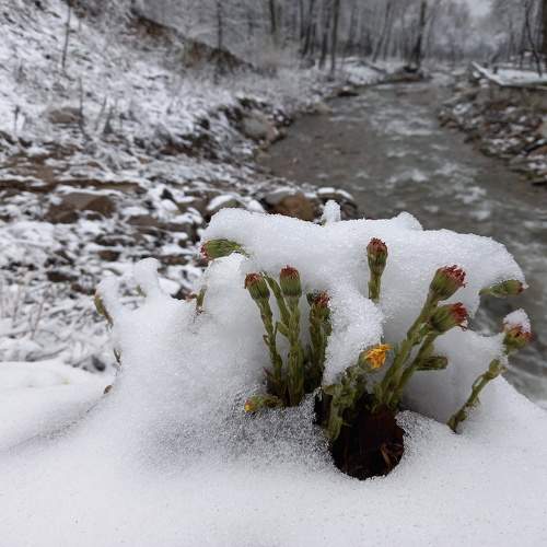Photo #9506101