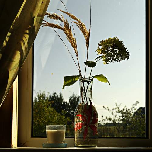 Photo #9506147