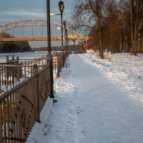 Photo #9506164