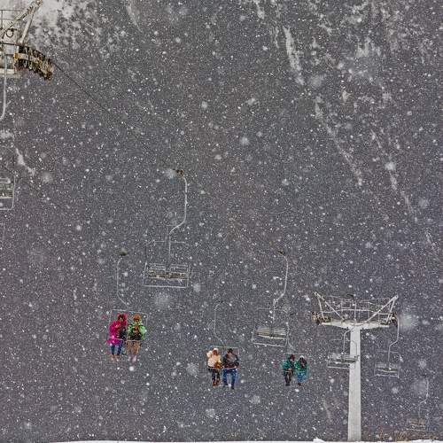 Photo #9506210