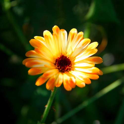 Photo #9507589