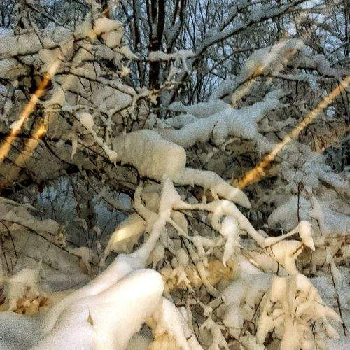 Photo #9507804