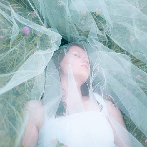 Photo #9507808