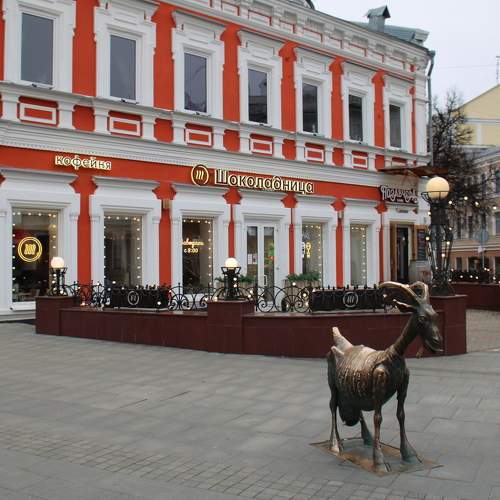 Photo #9507958