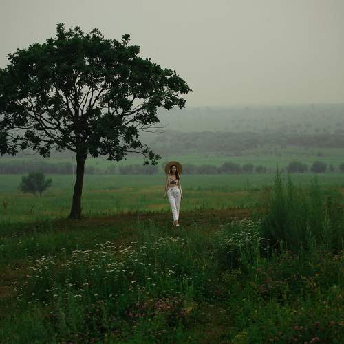 Photo #9508004