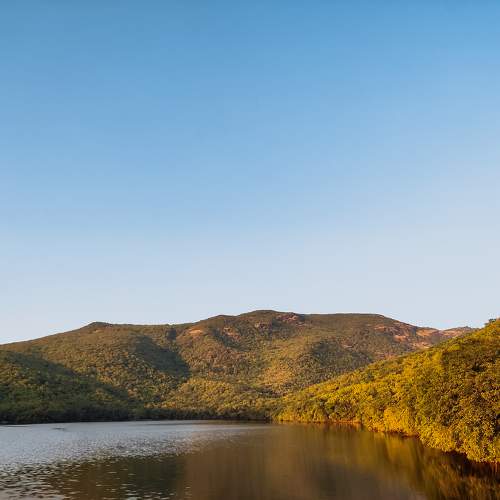 Photo #9508391