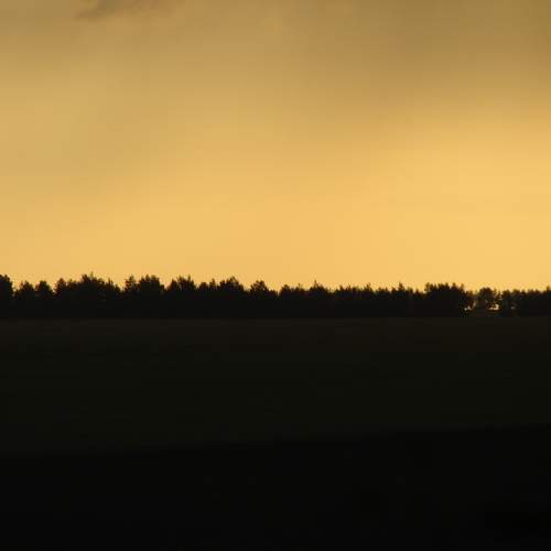Photo #9508513