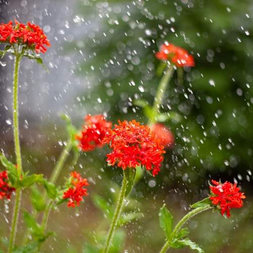 Photo #9508690