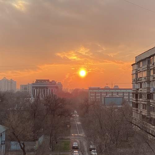 Photo #9508780