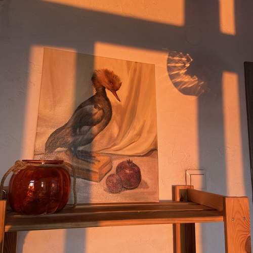 Photo #9508787