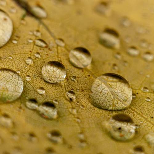 Photo #9508955