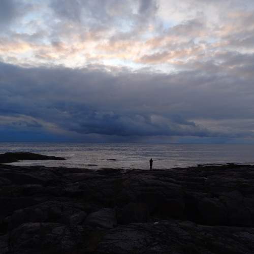 Photo #9509016
