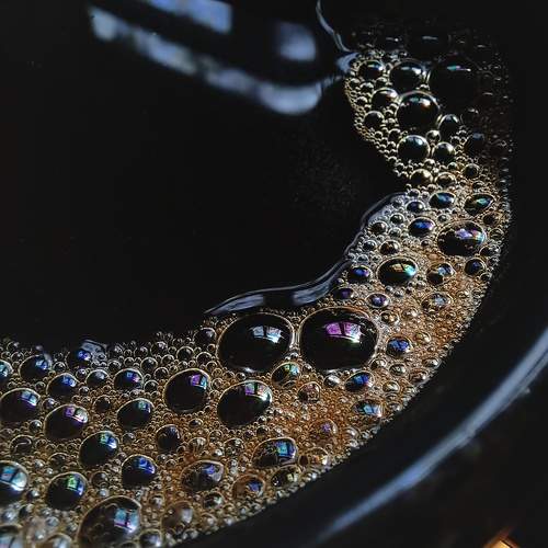 Photo #9509374