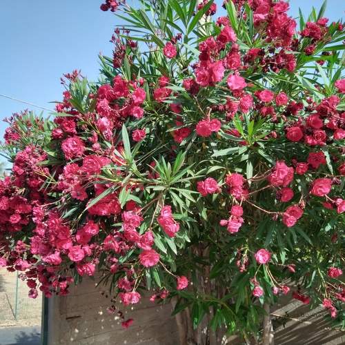 Photo #9509939