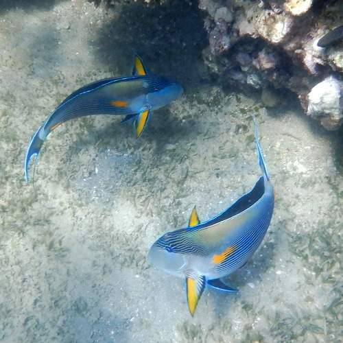 Photo #9510326