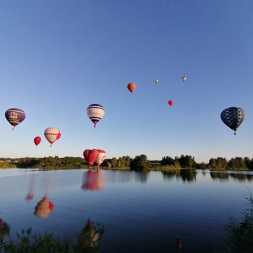 Photo #9510477