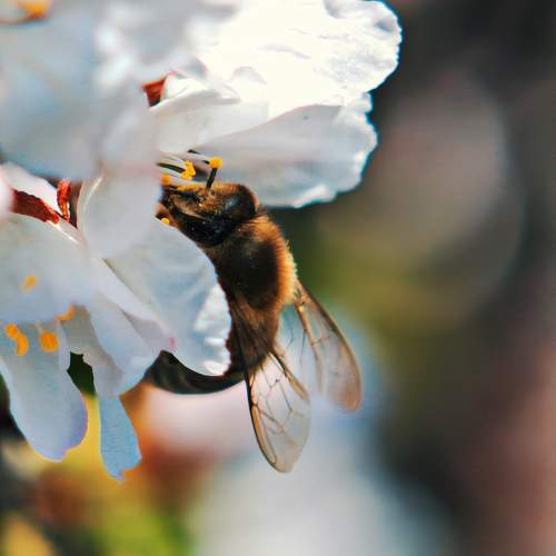 Photo #9510729