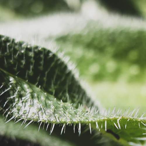 Photo #9510782