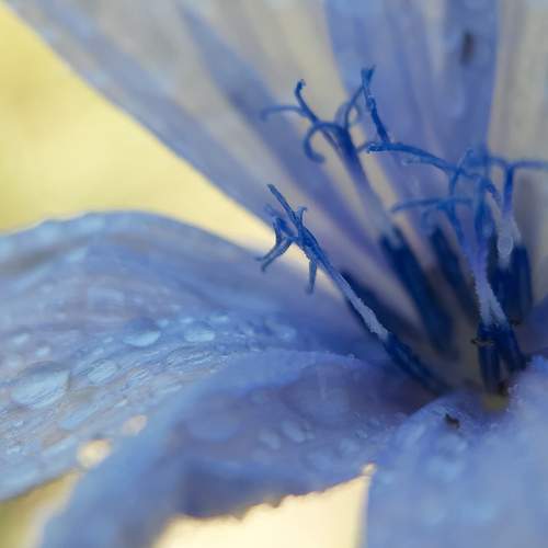 Photo #9510783