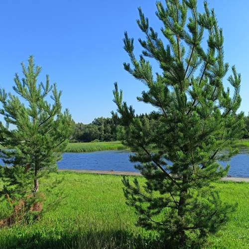 Photo #9511012