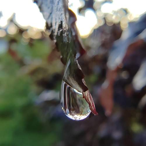Photo #9511294