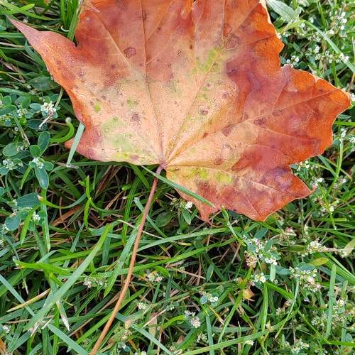 Photo #9511295
