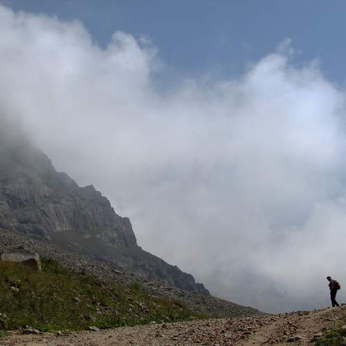Photo #9512013