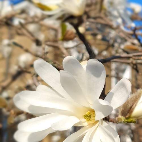 Photo #9512116